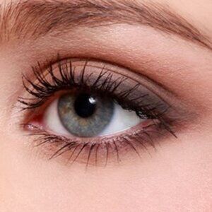 MAC WEDGE eye shadow new Matte
